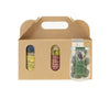 Three Chocolate Strawberry Jar Box - Regular